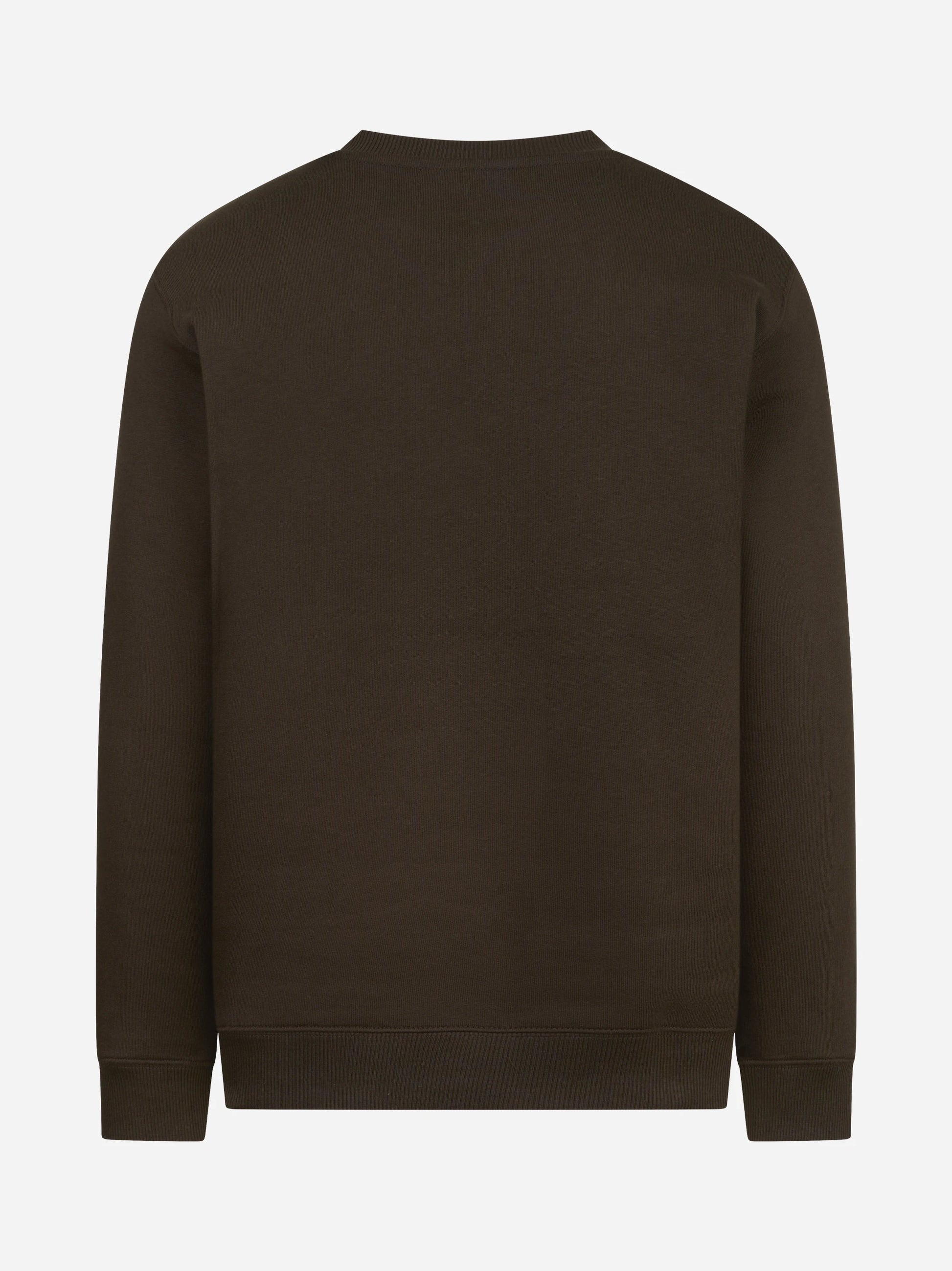 Felpa girocollo regular-fit marrone DONDUP – immagine 2 di 3