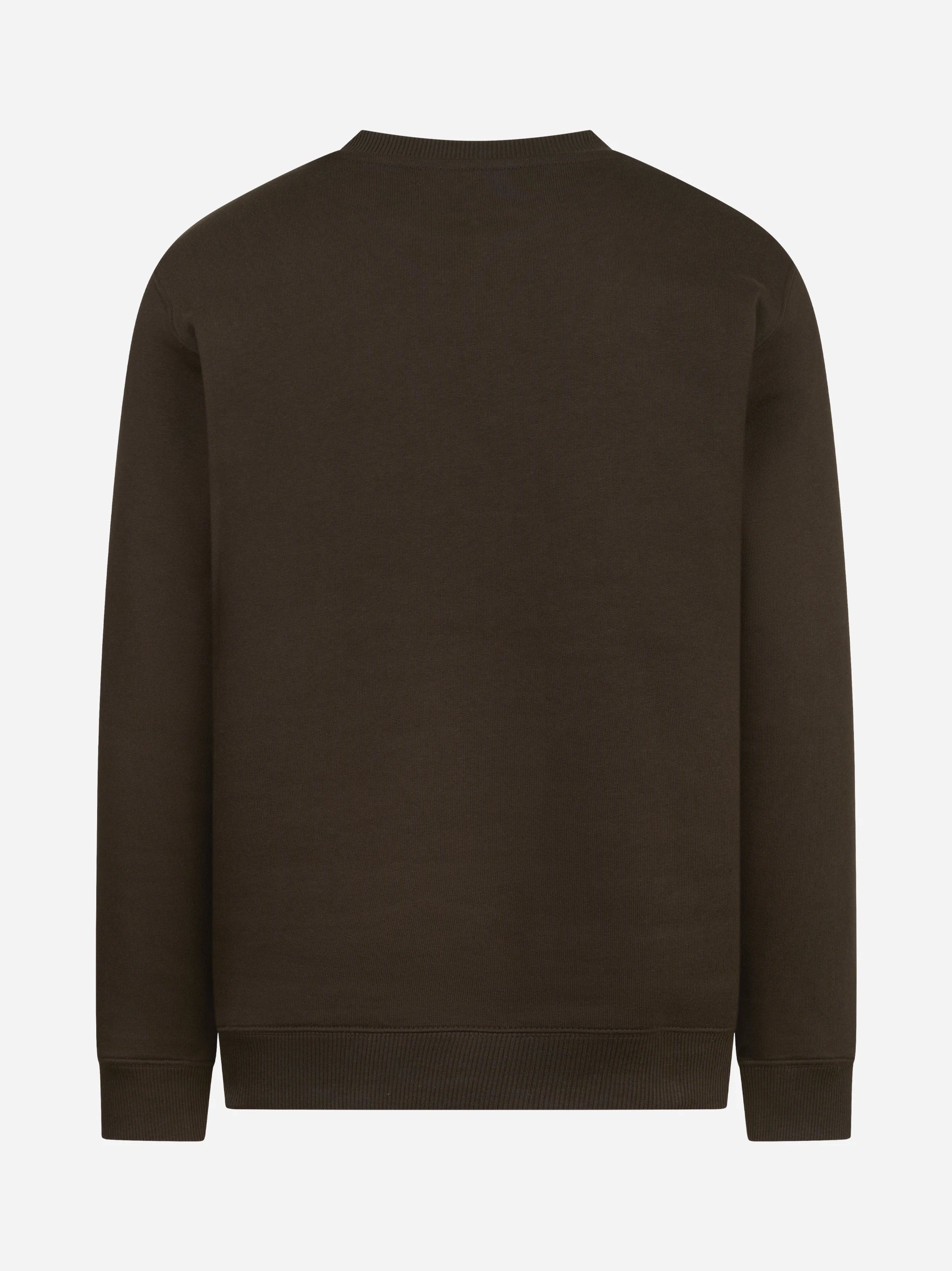 Felpa girocollo regular-fit marrone DONDUP – immagine 2 di 3