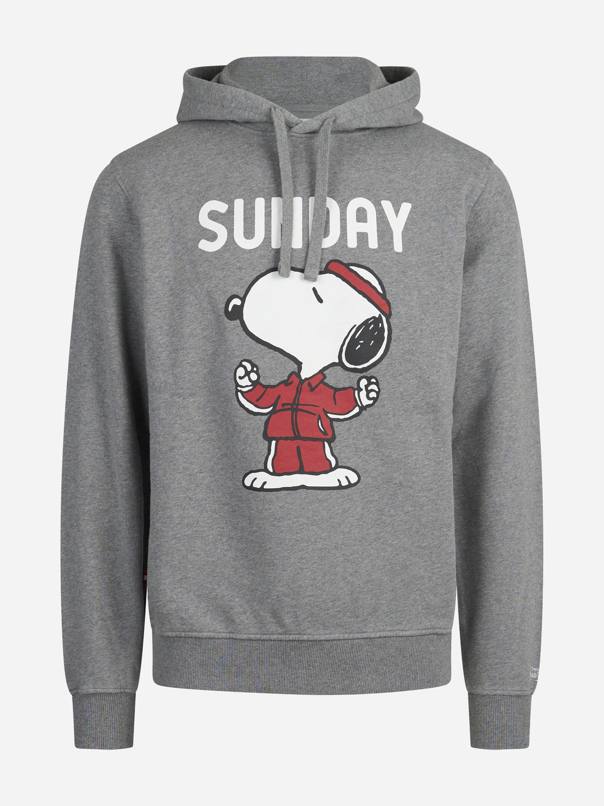 Felpa Tribeca Snoopy Sunday grigia - vista frontale