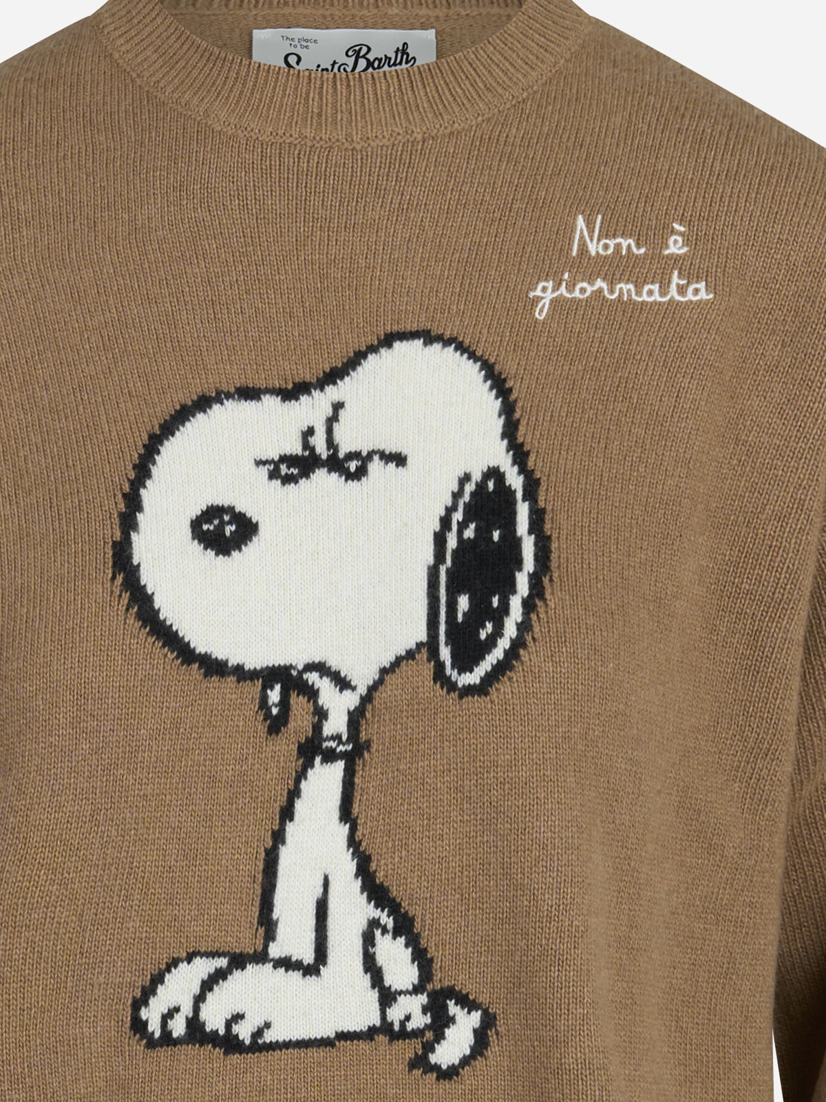 Maglia Tessa con Snoopy marrone - dettaglio